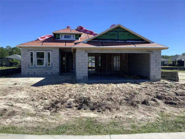 254 Hawthorn Avenue, PALM COAST, FL 32164