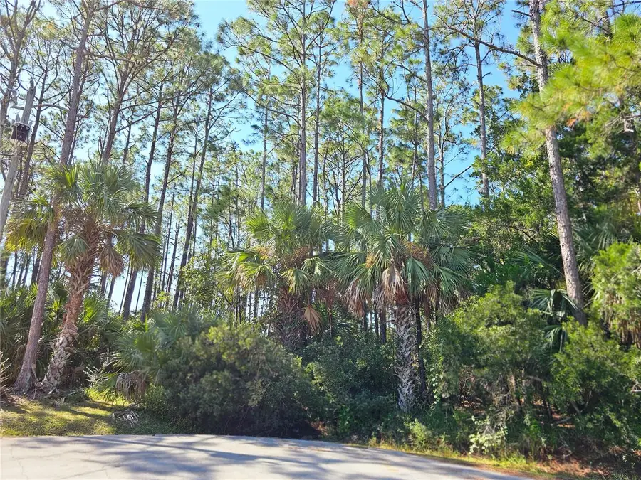 12 Ramsgate Place, Palm Coast, FL 32164 - Image #2