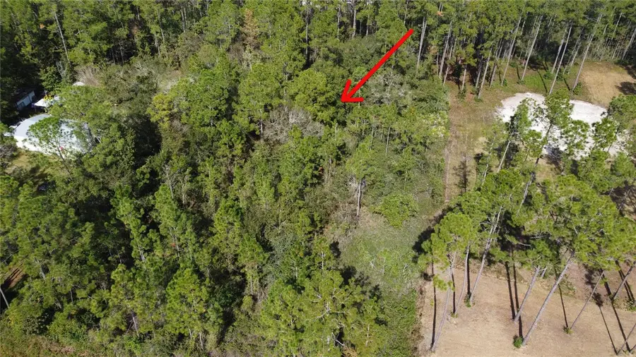 4240 Melanie Street, Hastings, FL 32145 - Image #2