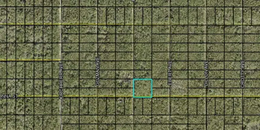 Fred Avenue, Hastings, FL 32145 - Image #1