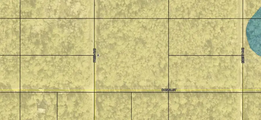 Fred Avenue, Hastings, FL 32145 - Image #2