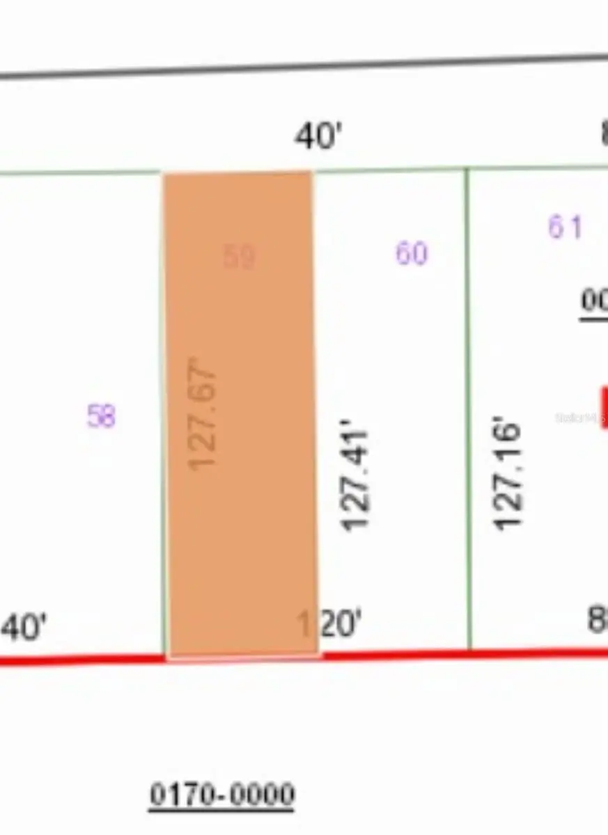 00 Unassigned Road, Interlachen, FL 32148 - Image #1