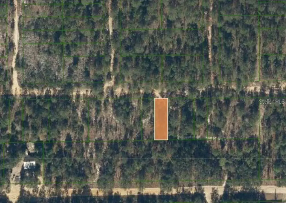 0 Unassigned Road, Interlachen, FL 32148 - Image #1