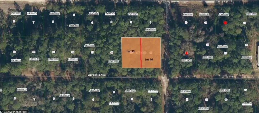 336 Gardenia Avenue, Georgetown, FL 32139 - Image #2