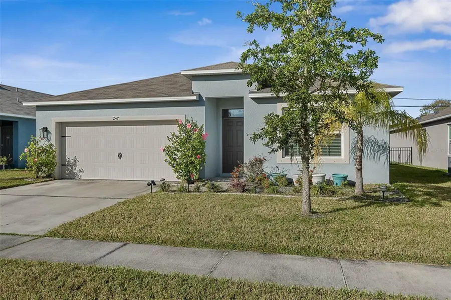 247 Old Mill Pond Road, Edgewater, FL 32141 - Image #2