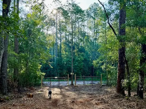 10535 Flikkema Ave, HASTINGS, FL 32145