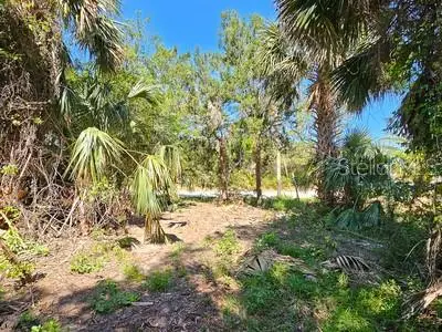52 Colechester Lane, Palm Coast, FL 32137 - Image #3