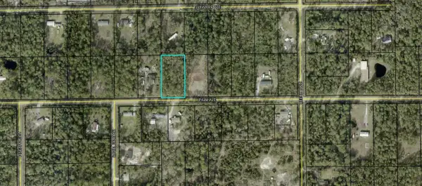 5638 Palm Avenue, BUNNELL, FL 32110