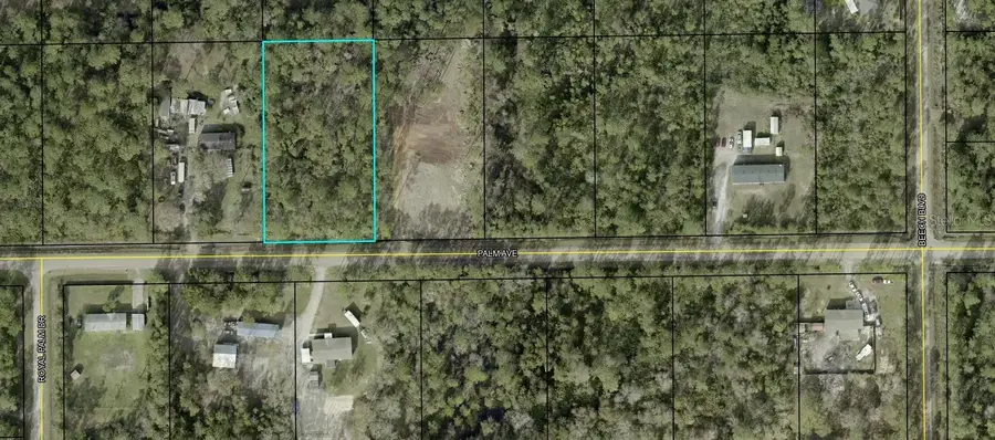 5638 Palm Avenue, Bunnell, FL 32110 - Image #3