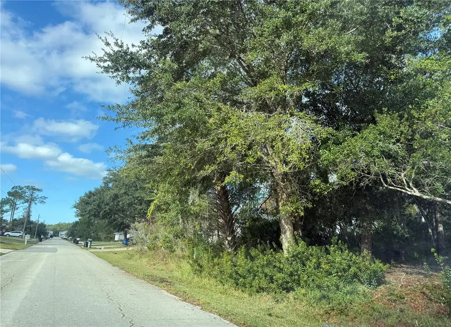 45 Wood Acre Lane, Palm Coast, FL 32164 - Image #3