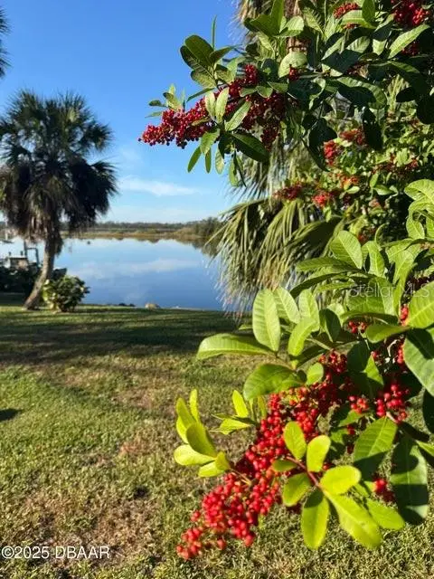 3780 John Anderson Drive, Ormond Beach, FL 32176 - Image #2