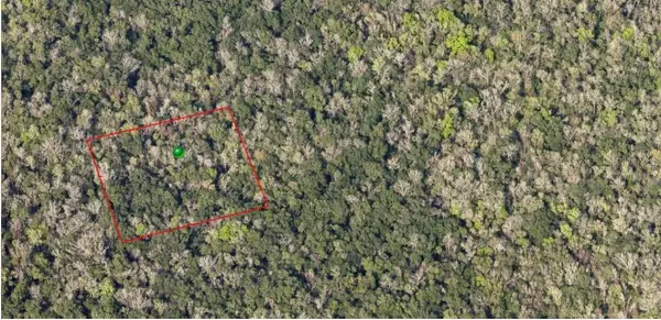 000 Reed Grove Road, OAK HILL, FL 32759