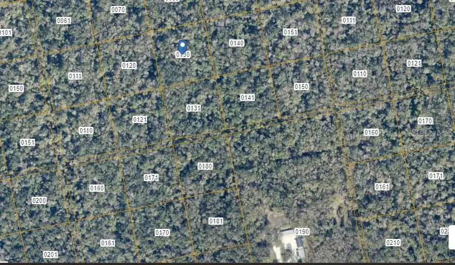 000 Reed Grove Road, Oak Hill, FL 32759 - Image #2