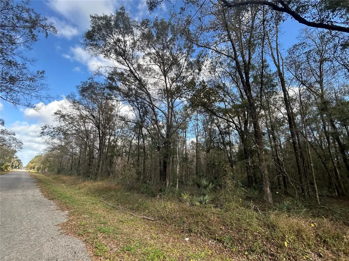 10040 Mcmahon Avenue, Hastings, FL 32145 - Image #1