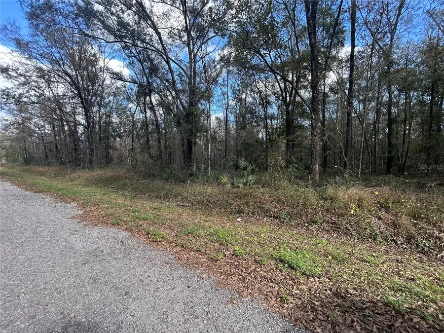 10040 Mcmahon Avenue, Hastings, FL 32145 - Image #2