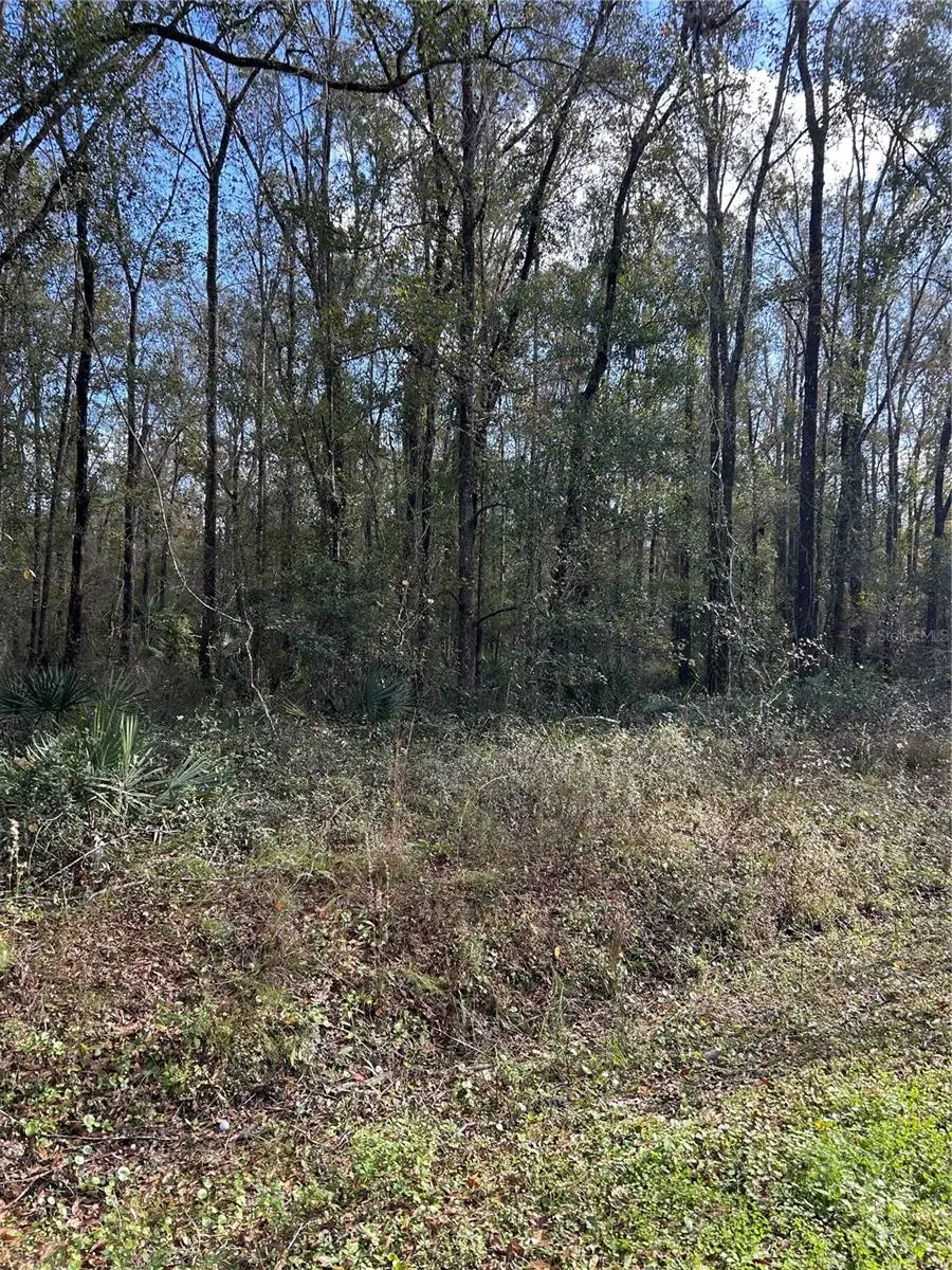 10040 Mcmahon Avenue, Hastings, FL 32145 - Image #3