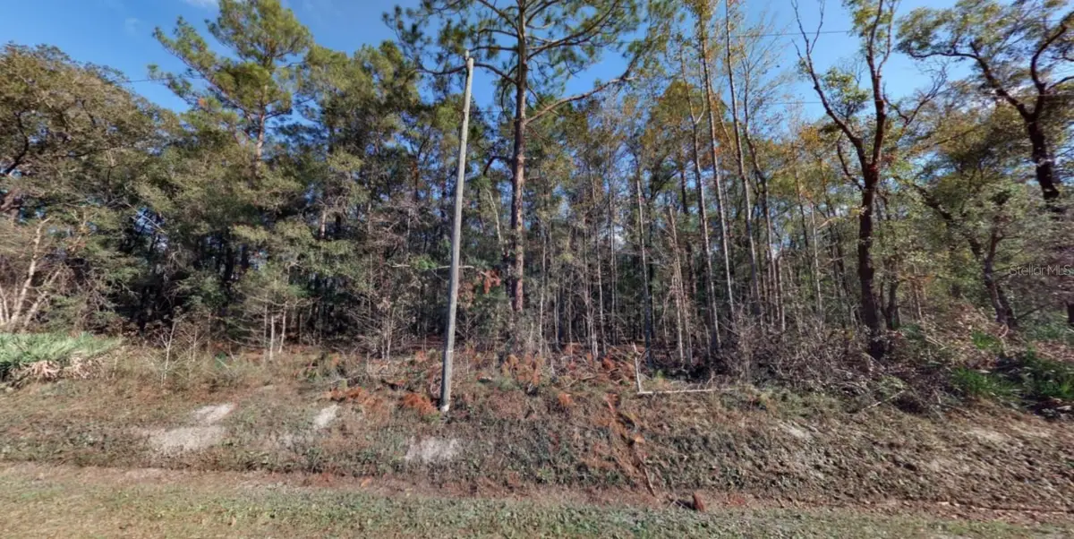 10410 Vaughan Avenue, Hastings, FL 32145 - Image #1