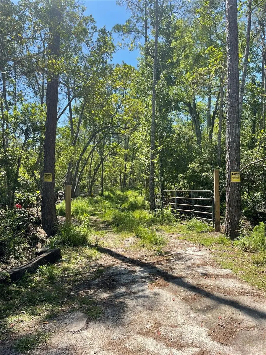 3781 Pine Pitch Court, Ormond Beach, FL 32174 - Image #1