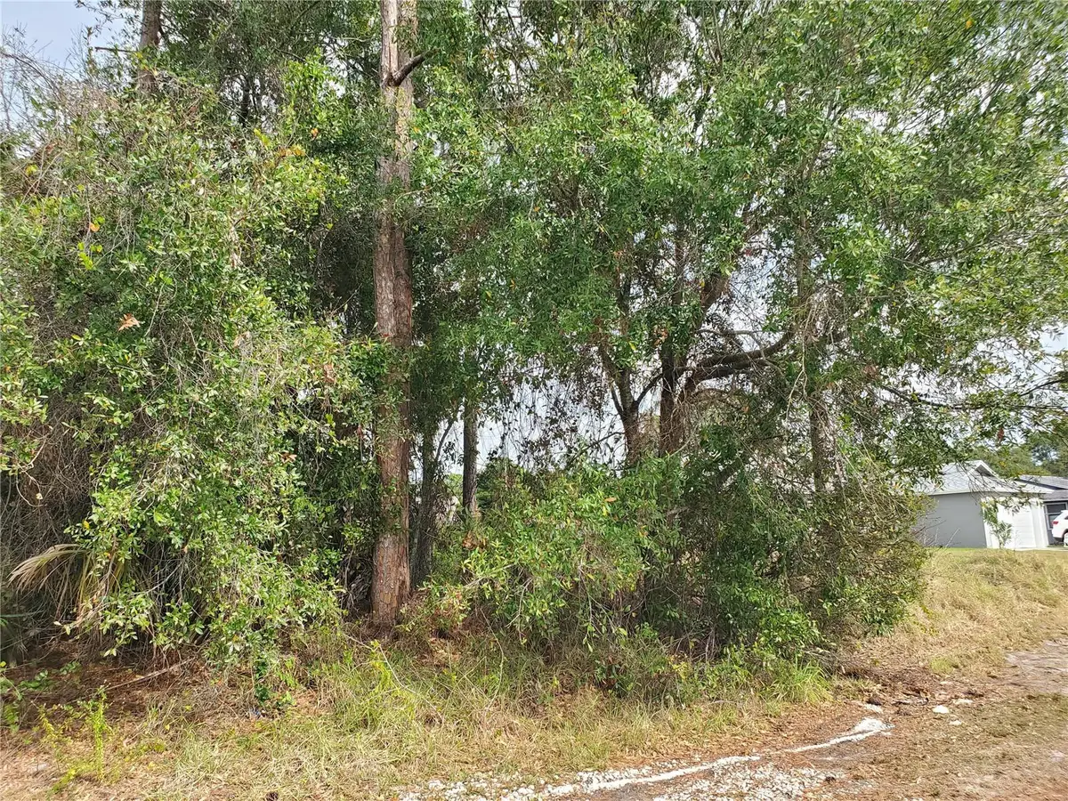 1009 SW Castaneda Lane, Port Saint Lucie, FL 34953 - #1