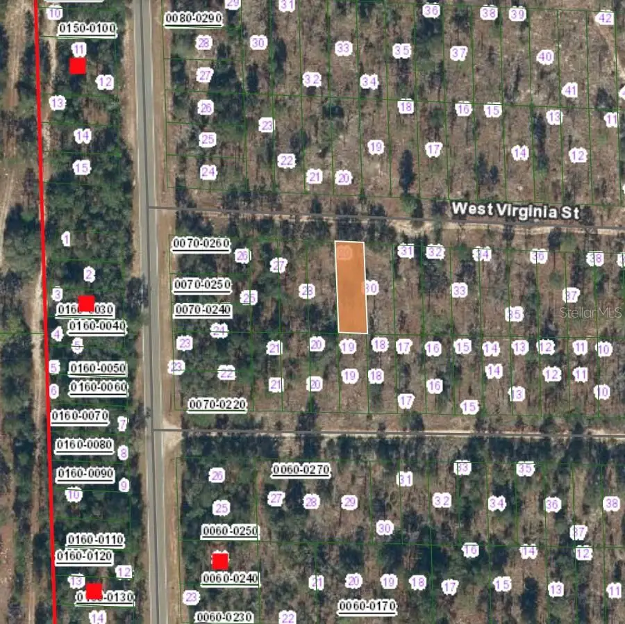 129 West Virginia Street, Hawthorne, FL 32640 - #2