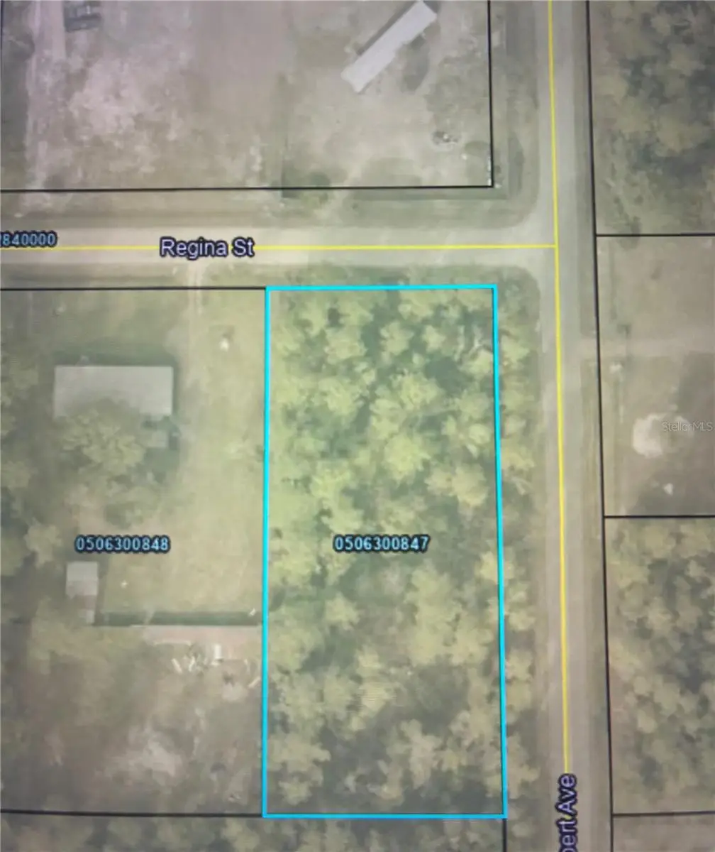 4205 Regina Street, Hastings, FL 32145 - #1