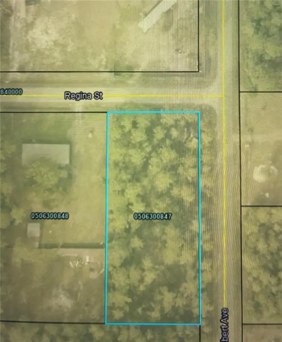 4205 Regina Street, Hastings, FL 32145 - #2