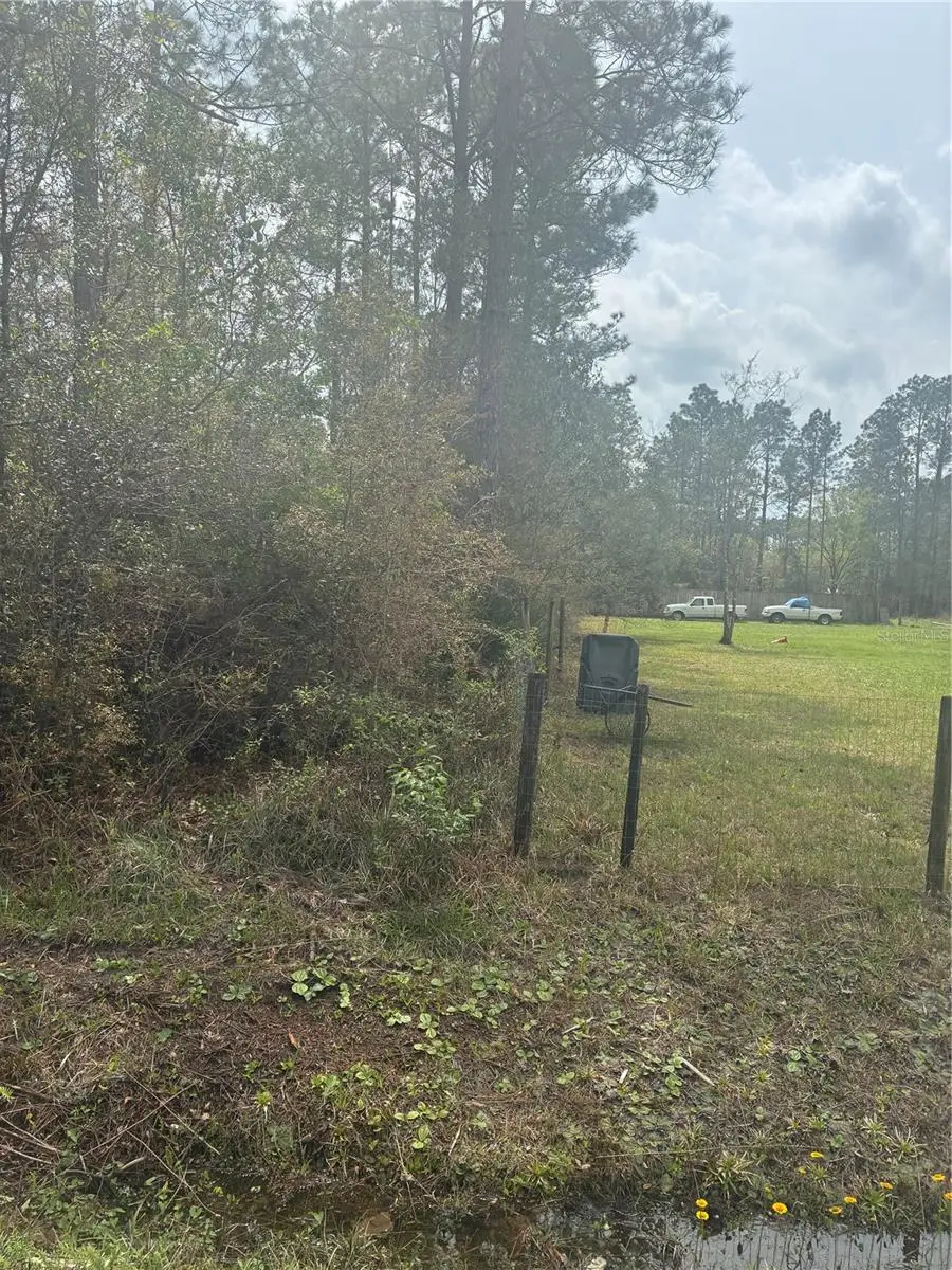 4205 Regina Street, Hastings, FL 32145 - #3