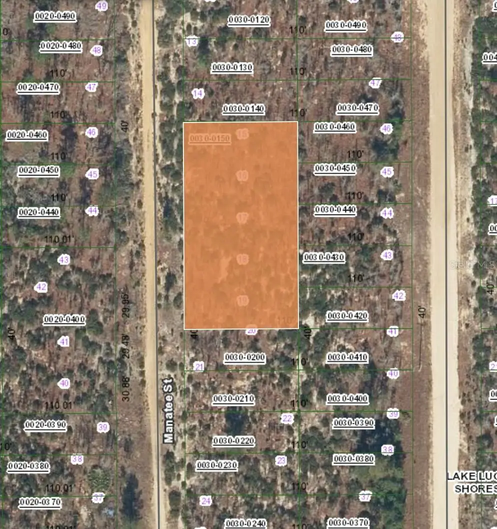 XX Manatee Street, Interlachen, FL 32148 - Image #1