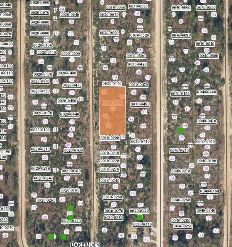 XX Manatee Street, Interlachen, FL 32148 - Image #2