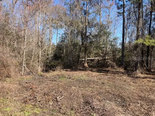 1881 Hazelnut Street, Bunnell, FL 32110 - #1