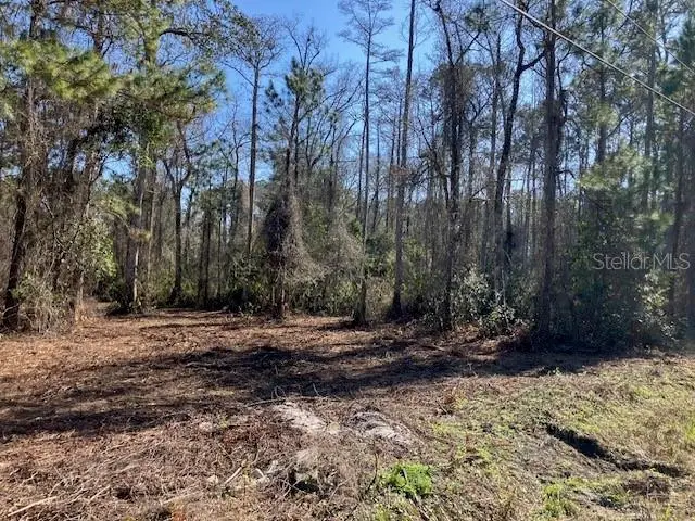 1881 Hazelnut Street, Bunnell, FL 32110 - #2