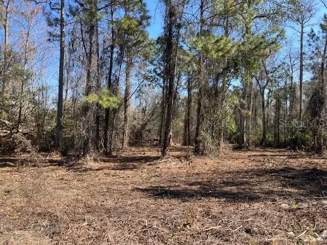 1881 Hazelnut Street, Bunnell, FL 32110 - #3