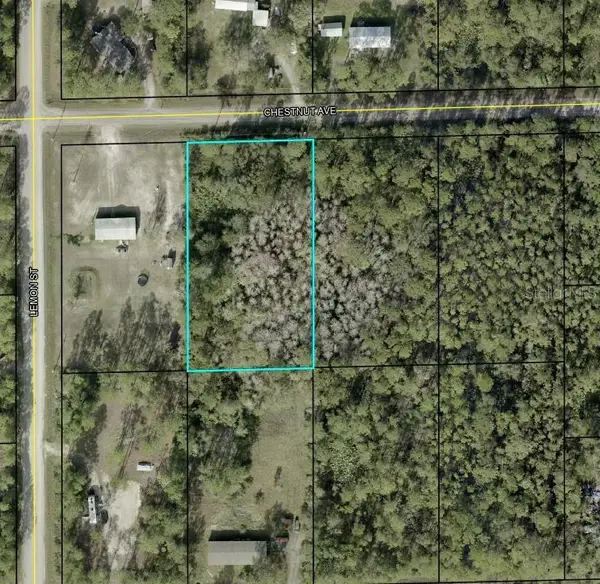 5603 Chestnut Avenue, BUNNELL, FL 32110