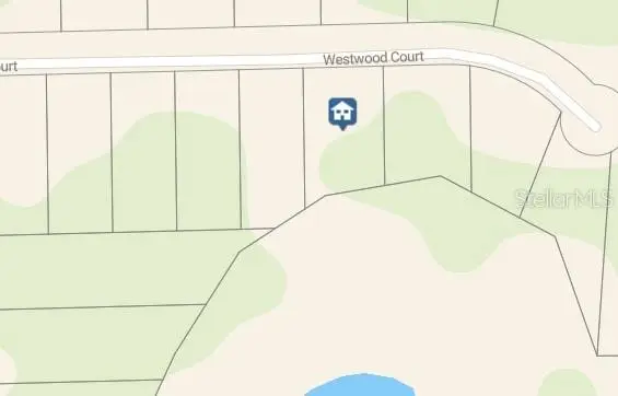 115 Westwood Court, Interlachen, FL 32148 - #2