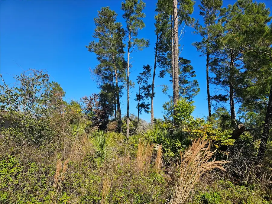 7 Wood Arbor Lane, Palm Coast, FL 32164 - #2