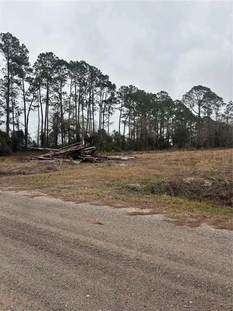 9600 Light Avenue, Hastings, FL 32145 - #2