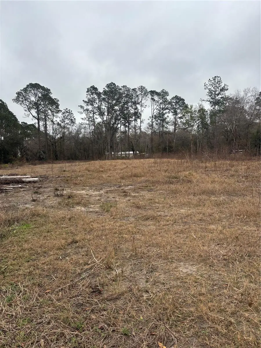 9600 Light Avenue, Hastings, FL 32145 - #3