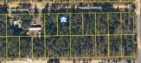 111 Yeatts Avenue, Interlachen, FL 32148 - #1