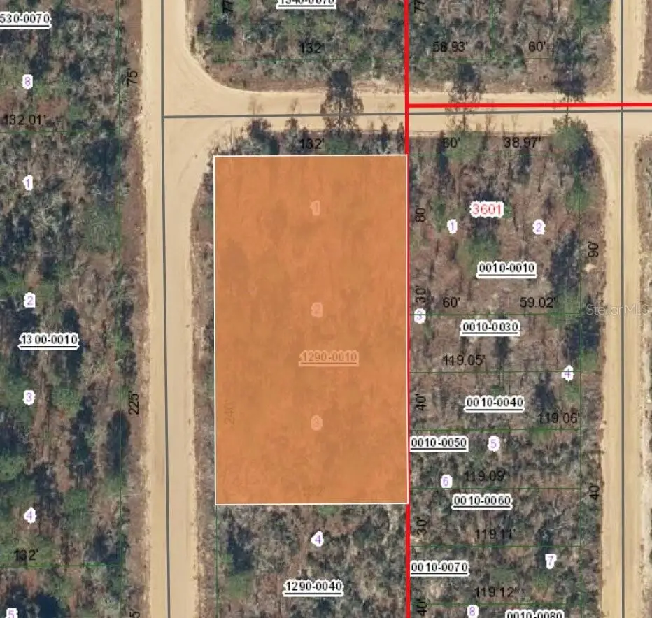 XX Orchid Avenue, Interlachen, FL 32148 - #1