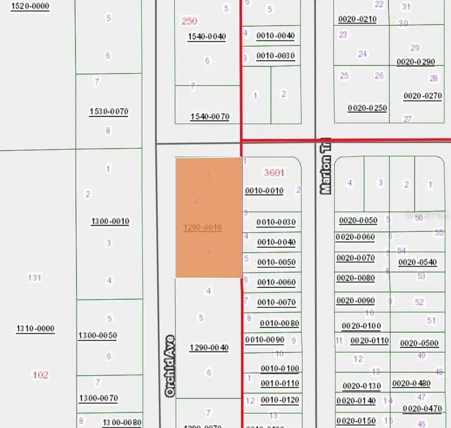XX Orchid Avenue, Interlachen, FL 32148 - #3