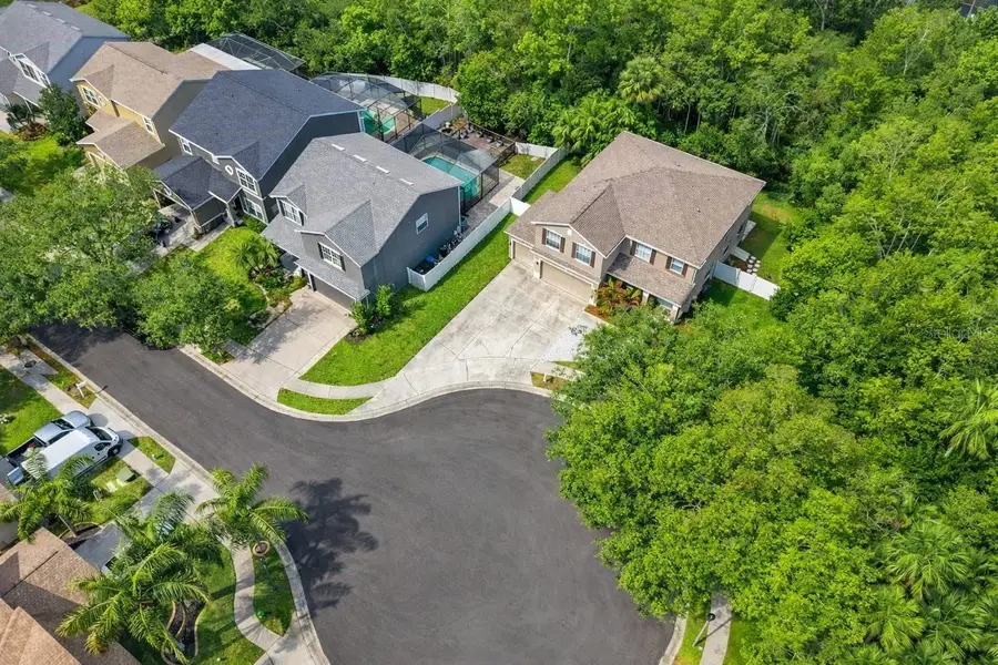 12507 Bay Branch Court, Tampa, FL 33635 - #2