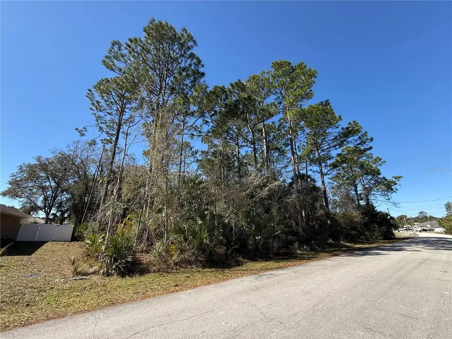 28 Phoenix Lane, Palm Coast, FL 32164 - #2