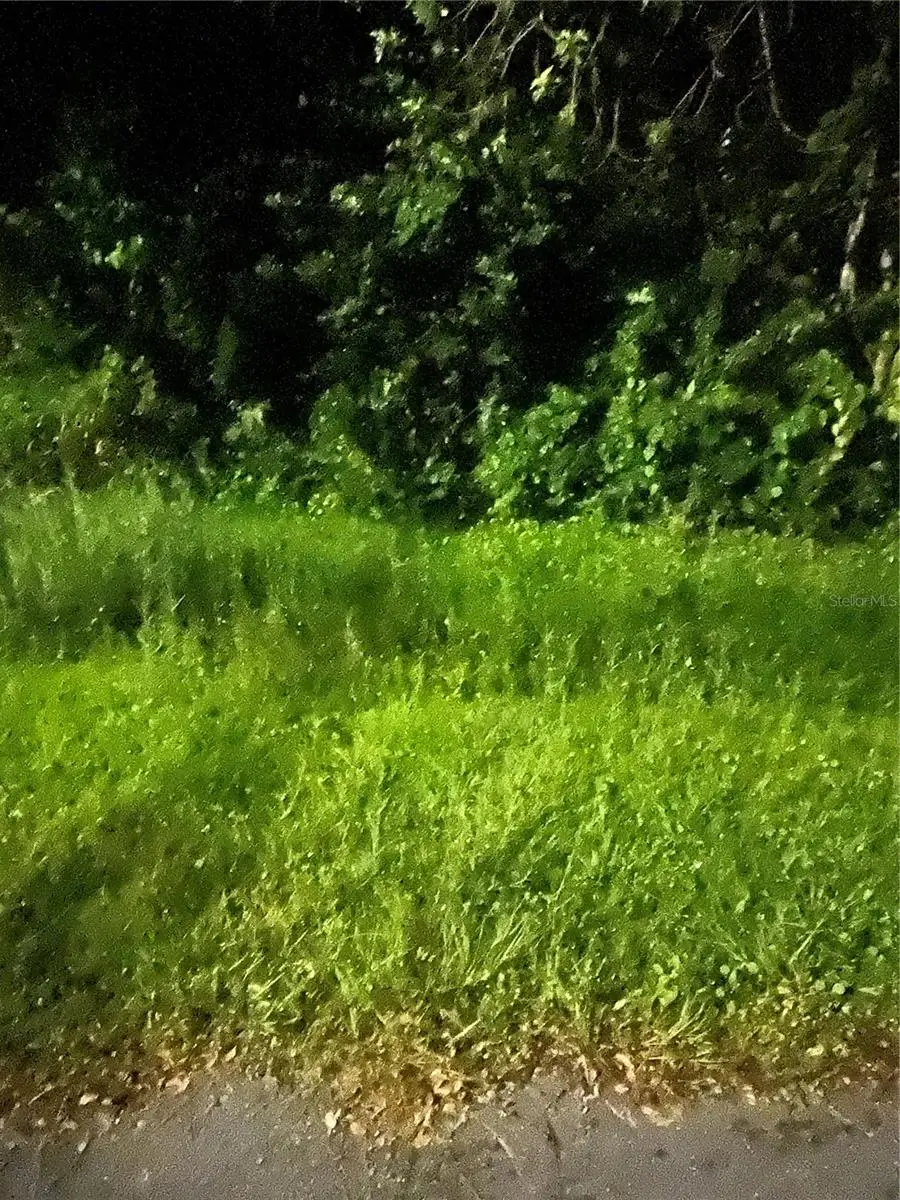 814 Massy Court, Poinciana, FL 34759 - #2