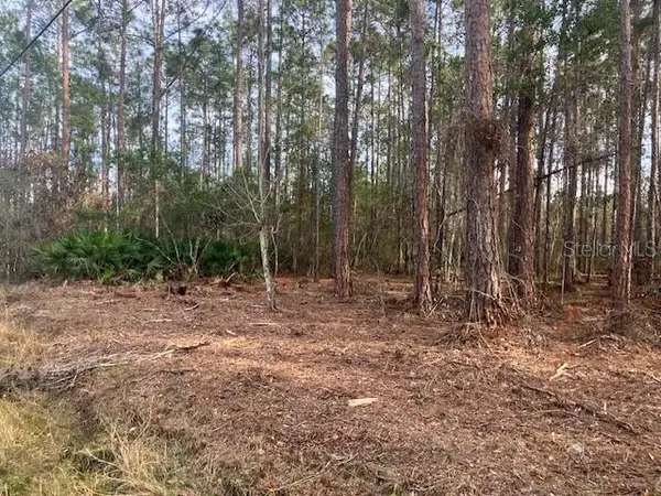 4515 Mahogany Boulevard, BUNNELL, FL 32110