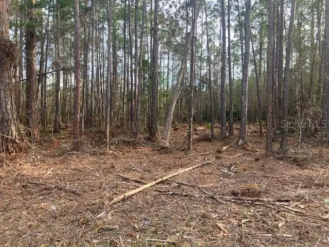 4515 Mahogany Boulevard, Bunnell, FL 32110 - #2