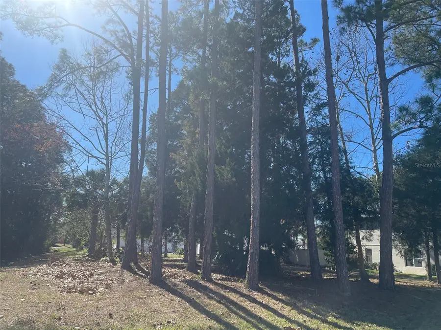 60 Birchwood Drive, Palm Coast, FL 32137 - #2