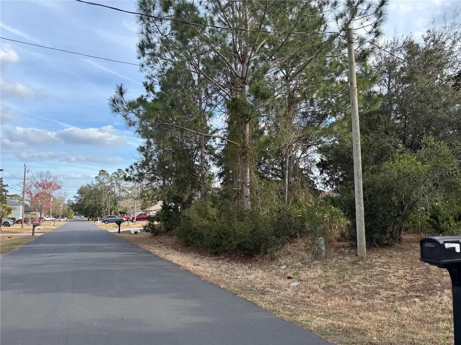 4 Royal Leaf Lane, Palm Coast, FL 32164 - #2