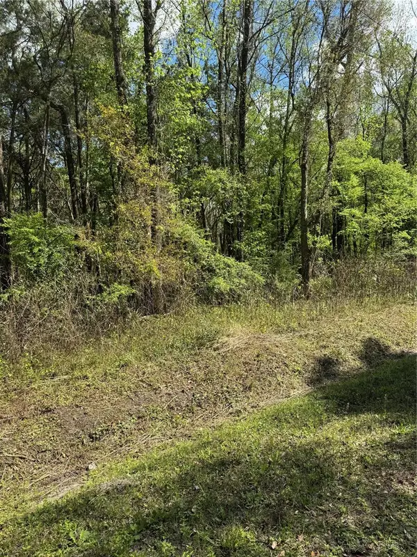 10140 Yeager Avenue, HASTINGS, FL 32145