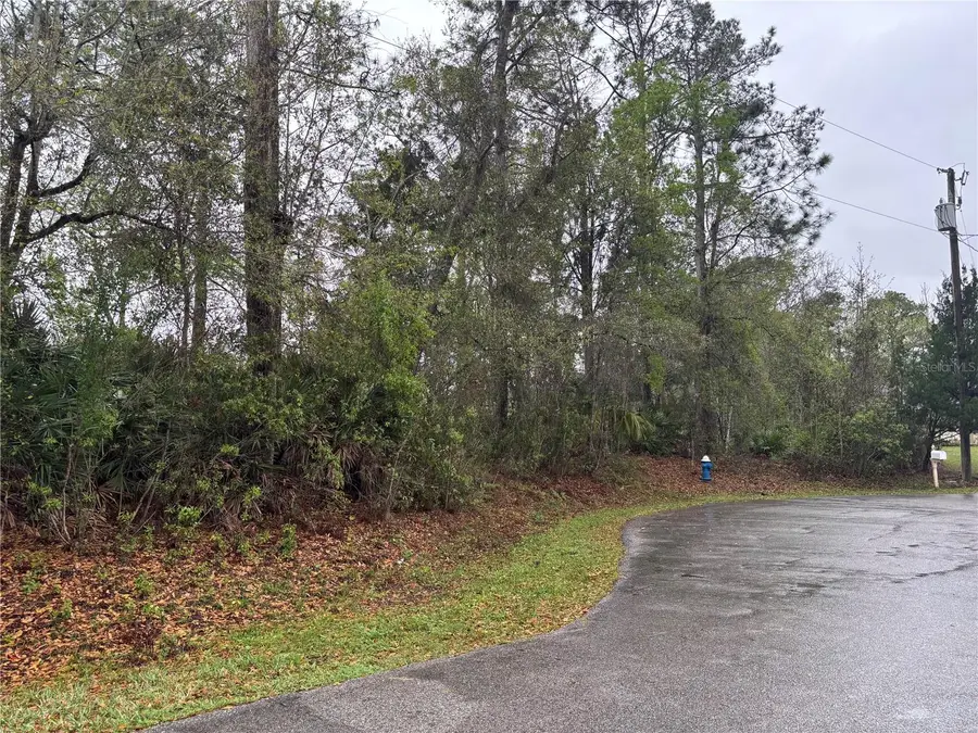 5 Woodchuck Place, Palm Coast, FL 32164 - #2