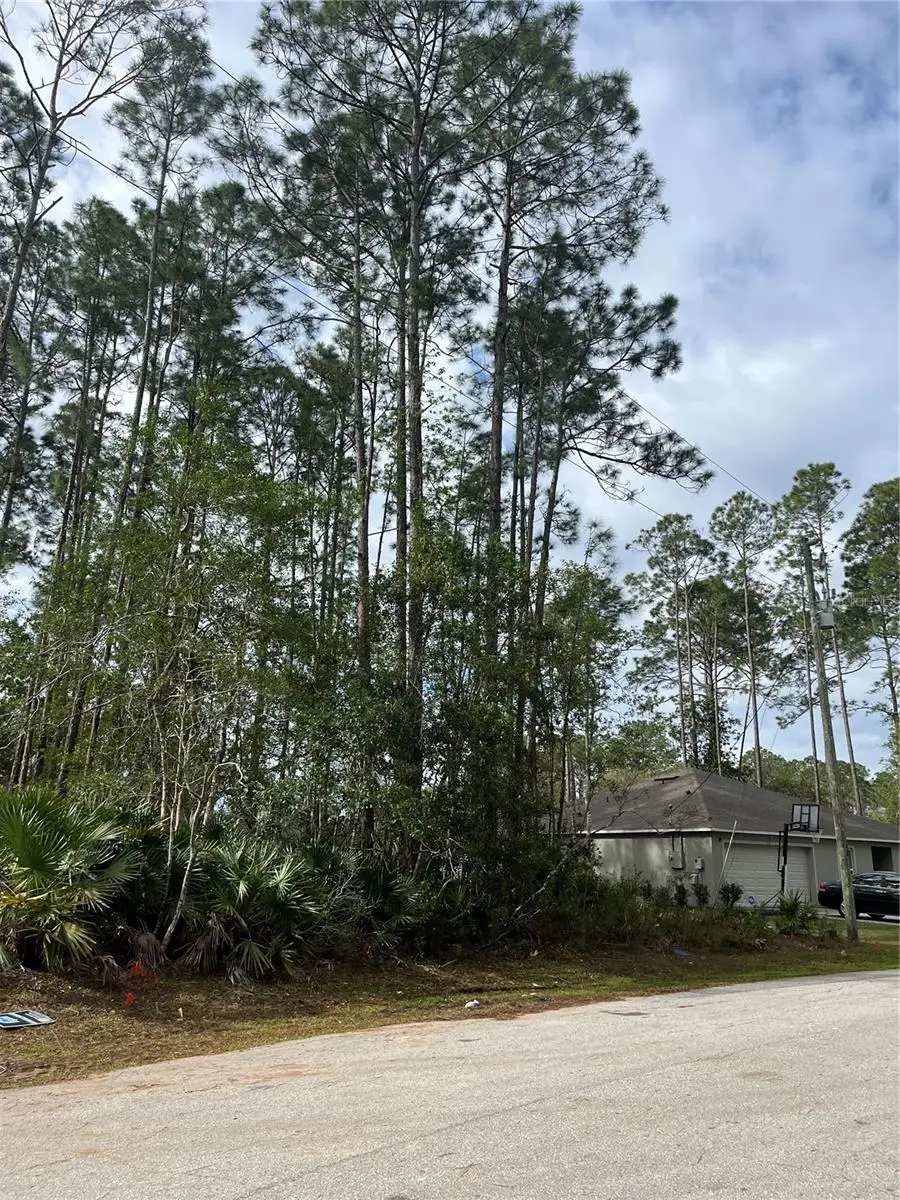 14 Reybury Lane, Palm Coast, FL 32164 - #3